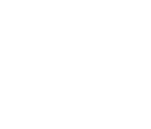 Spedizione e trasporto veloce Moreschi logistic